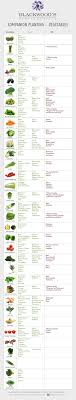 Blackwoods Co Za Companion Planting Vegetables Blackwoods