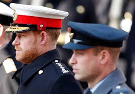 Prince Harry's 'frustrating' life in William's shadow