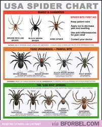 Pin On Survival Tricks