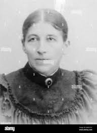 Timme hi-res stock photography and images