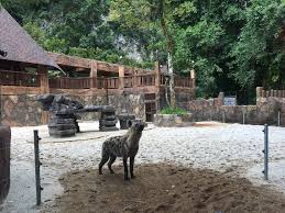 Lost world of tambun ialah taman tema yang terletak di bandar bersejarah ipoh, malaysia dan merupakan lokasi yang wajib dilawati terutamanya buat keluarga yang bercuti di semenanjung malaysia. Aktiviti Menarik Di Lost World Of Tambun Afiq Halid