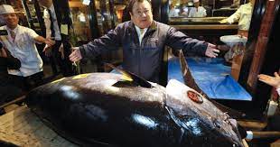 World S Most Expensive Bluefin Tuna 3 1m Record Price Hushhush Com