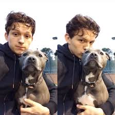 So, i recently started stanning tom holland because, duh. Wear A Mask When Tessa Talks Tom Holland X Reader