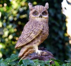 Eule Uhu Kauz Vogel Gartenfigur Tier Skulptur Gartendeko Waldvogel Waldohreule Waldohreule Gartenfiguren Tiere Gartenfiguren