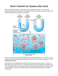 Solution at atmospheric pressure has a negative water potential. Water Potential For Dummies Like Me When Thinking About