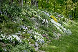 Front Yard Along Street Like How They Ve Handled The Sloped Area Hillside Landscaping Sloped Garden Rock Garden Landscaping