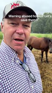 Horse Trading (@horsetrading1)’s videos with original sound