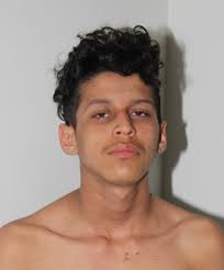 PGPD News: March 2019