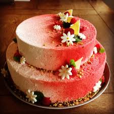Entremet 2 Etages Citron Framboise Dacquoise Amande Cremeux Citron Mousse Framboise Glacage Velour Dacquoise Amande 250 G D Aman Food Cake Desserts