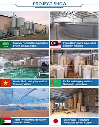 If you click a link on this can fit almost anywhere. Frf Fish Farm Plastic Fish Tank Round Frf Foldable Fish Tank Buy Frf Fish Farm Tank Fish Farm Tanks Fish Tanks Product On Alibaba Com