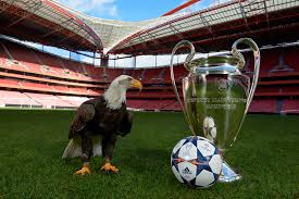Benfica will face the turkish of fenerbahçe. Possiveis Adversarios Do Benfica Nas Pre Eliminatorias Da Champions