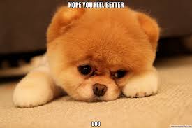 We did not find results for: Hope You Feel Better