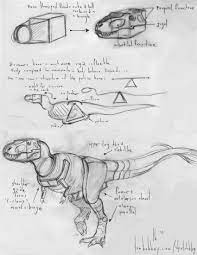 Pin On Animal Anatomy