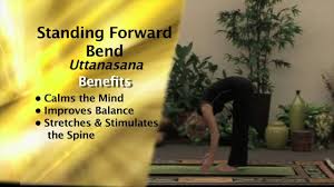 The video yoga for children with developmental challenges is a yoga education program designed to introduce the benefits of a regular yoga practice to childr. Yoga For Autism Special Needs Calming Postures Mov Youtube