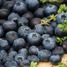 The toro is a blueberry variety which is giving large berries. Pin On Gardening