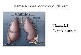 Usually, this cancer is found in the lining of the lungs and th. Are Mesothelioma Memes A Solid Long Term Investment Memeeconomy