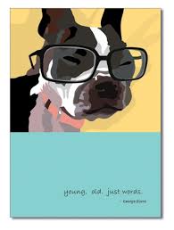 Check spelling or type a new query. Boston Terrier Birthday Card