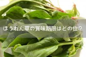 ほうれん草の賞味期限 見た目がしなしなはダメ 茹でたり冷凍した時の目安も紹介 ヤオハピ