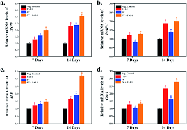 We did not find results for: Electromagnetic Field Assisted Cell Laden 3d Printed Poloxamer 407 Hydrogel For Enhanced Osteogenesis Rsc Advances Rsc Publishing