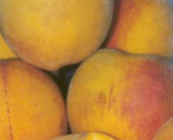 Here's a play on peaches and cream with warm baked peaches topped with marshmallowy whipped meringue. Peach Trees For Sale Burnt Ridge Nursery Buy Peach Trees