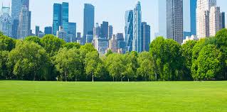 How big should urban green spaces be? | Ensia