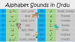 Pin On English To Urdu Vocabulary