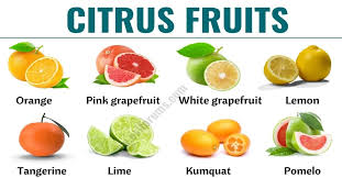 Image result for Rutaceae