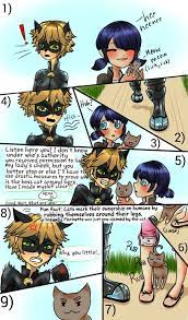 Miraculous Ladybug Chat Noir Chat Noir Jealous Cat Fight Marinette Chat Miraculous Ladybug Memes Miraculous Ladybug Fanfiction Miraculous Ladybug Anime