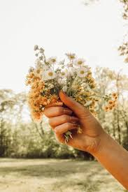 Ten types of cut flowers. Pin By Annie On Spring Time Flower Aesthetic Flowers Planting Flowers