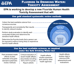 Image result for Fluoride Toxicity