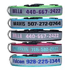10 Best Reflective Dog Collar Reviews 2019 Buying Guide