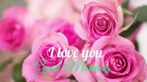 Good Morning Pink Flowers Of Roses Pink Rose Flower Pink Roses Pink Flowers