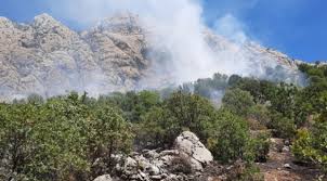 Adıyaman haber sayfamızda adıyaman haberleri okuyabilir, adıyaman son dakika haberleri ve güncel adıyaman gelişmelerini görebilirsiniz. Adiyaman Da Ormanlik Alanda Yangin Son Dakika Haberleri
