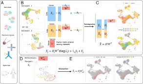 Maybe you would like to learn more about one of these? Integration And Transfer Learning Of Single Cell Transcriptomes Via Cfit Pnas