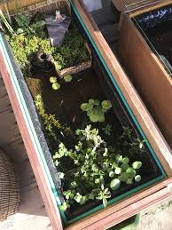 ビオトープ おしゃれまとめの人気アイデア pinterest takashi ビオトープ メダカ ビオトープ メダカ 水槽