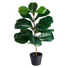 Fake plants are a pretty obvious choice for those of us (me) who seem to kill every living plant we lay our hands on. Artificial Plants Potted Large Tall More Spotlight Australia