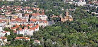 Epidemiologie boli transmisibile si netransmisibile igiena medicina muncii. Amenda E 3000 De Lei Daca Faceti Asta Intr Un Parc Din Timisoara De 1