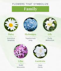 Realize that you are love. 15 Flowers That Mean Love To Add To Your Bouquet Proflowers