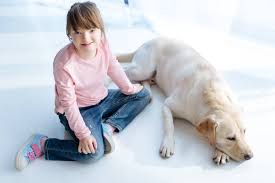 2,707 likes · 3 talking about this. Draufsicht Auf Kind Mit Down Syndrom Und Hund Retriever Im Zimmer Lizenzfreies Foto Und Stockbild