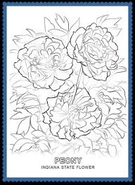 My little pony mother and son coloring. Peony Coloring Page Archives Usa Facts For Kids