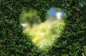 Here are some chinese and other asian shows that you might check out from streaming app iqiyi international. Where To Celebrate Chinese Valentine S Day 2021 In Guangzhou That S Guangzhou