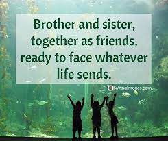 40 Wonderful Siblings Quotes That Will Make You Feel Extra Grateful Sayingimages Com Sibling Quotes Family Quotes Funny Sister Quotes