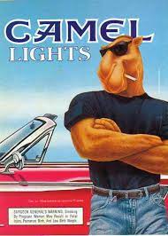 Joe camel was a cartoon camel, and is thus immune to nature's laws. Joe Camel Hollywood Hates Me