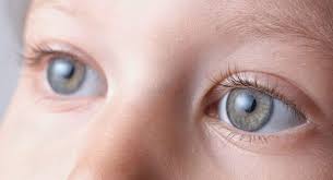 More than half of all americans age 80 and older either have had cataracts or have had surgery to get rid of cataracts. Katarakt Nasil Olusur Belirtileri Nelerdir Indigo Dergisi