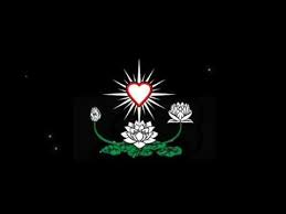 Solidaritas sosial komunitas pencak silat persaudaraan setia. Story Wa Psht Keren Bunga Terate Youtube