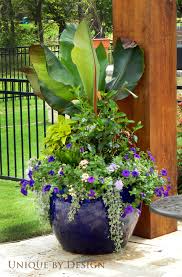 Their small size helps them to retain moisture and reduce evaporation. Pin By Karen Poore On Container Gardening Unique By Design Plants Garden Containers Container Plants