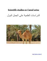Yeah, i know that hadith. Scientific Studies On Camel Urine