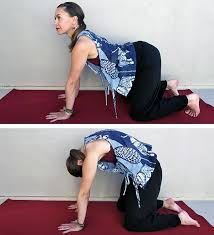 Pin On Fitness Tips Workouts