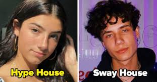 Do You Belong In The Hype House Or The Sway House In 2020 House Quiz House Funny Celebrity Dads