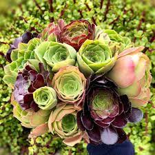 These flowers often cause misery for hay fever and environmental allergy sufferers. The 7 Best Succulents For Wedding Arrangements
